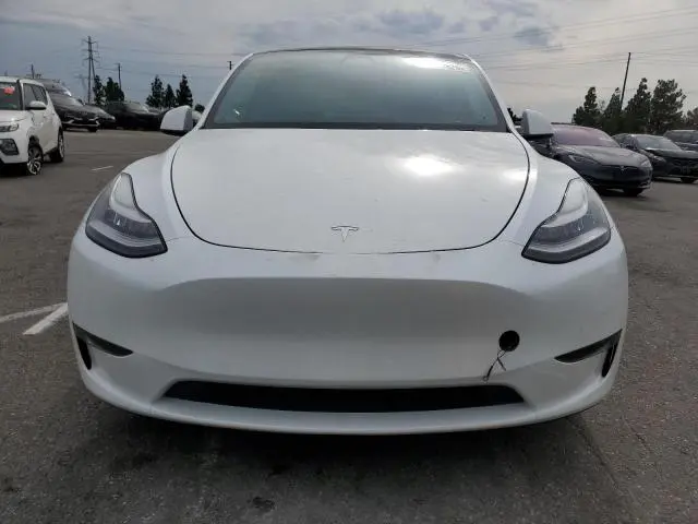 2020 TESLA MODEL Y   