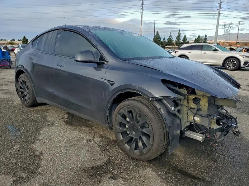 2024 TESLA MODEL Y   