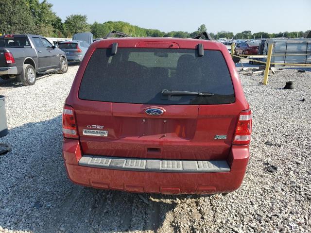 2010 FORD ESCAPE XLT