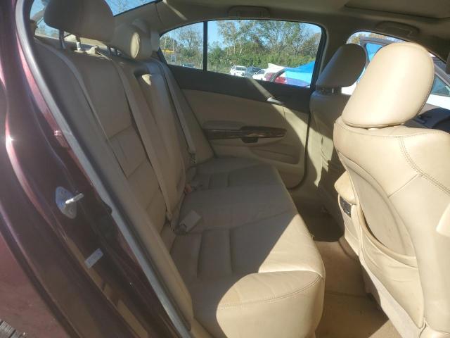 2010 HONDA ACCORD EXL