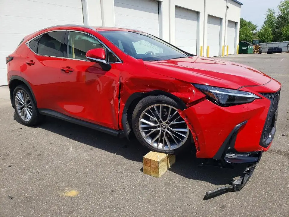2024 LEXUS NX 350 LUXURY  