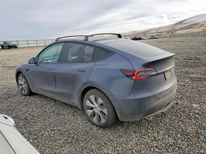 2020 TESLA MODEL Y   