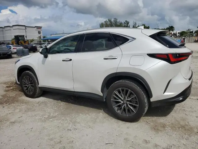 2024 LEXUS NX 250 BASE  
