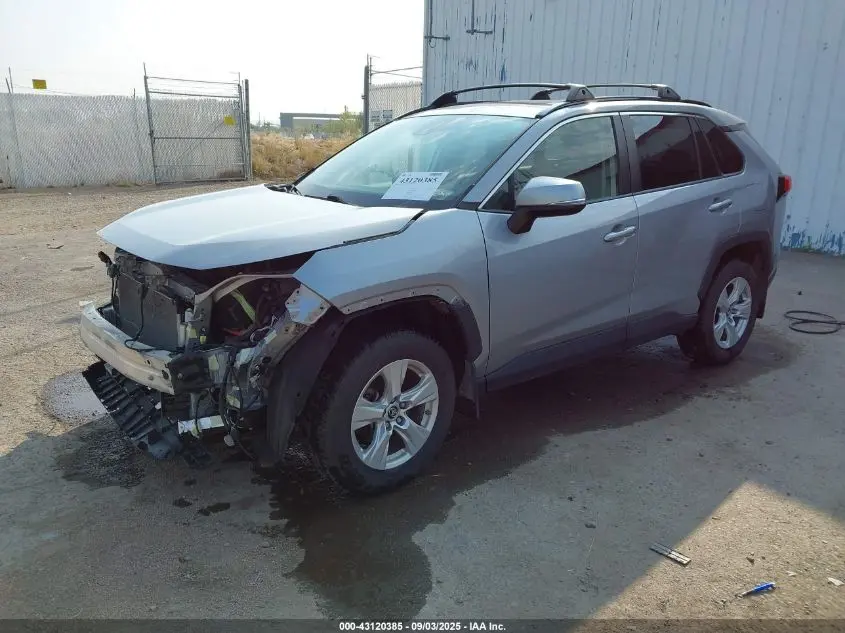 2019 TOYOTA RAV4 XLE