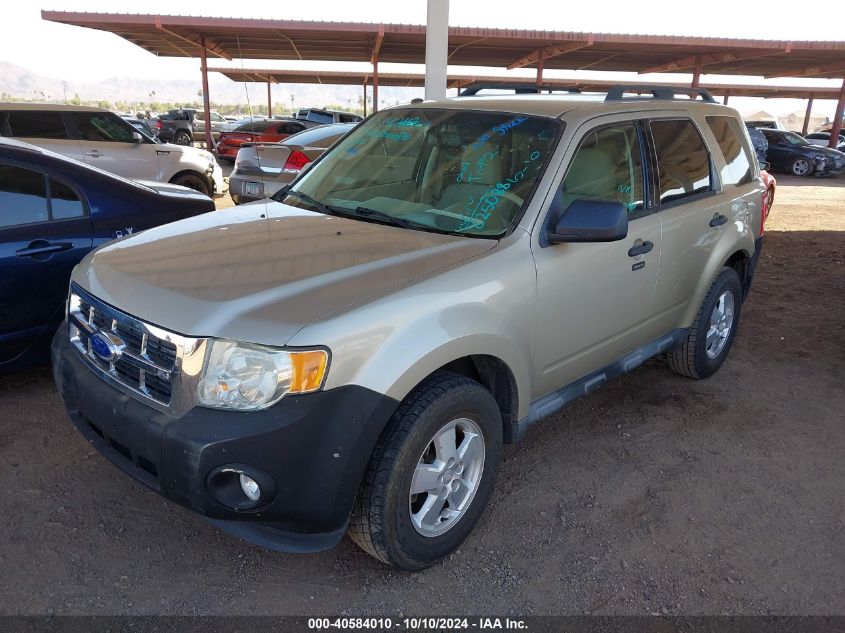 2011 FORD ESCAPE XLT