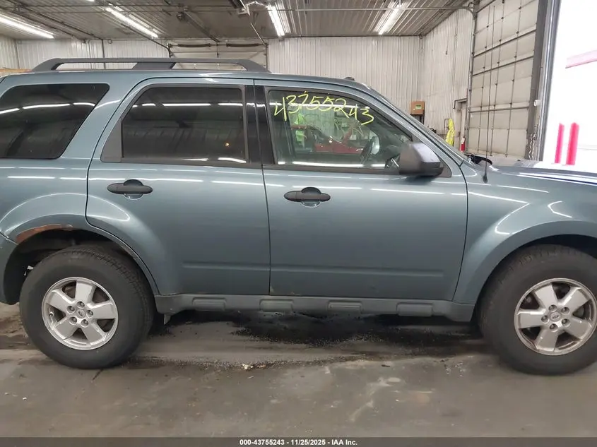 2011 FORD ESCAPE XLT
