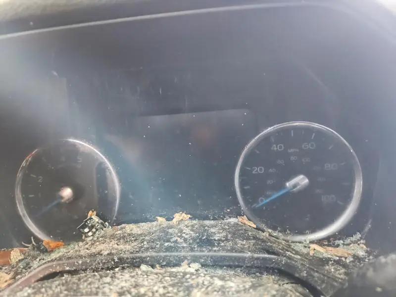 2017 FORD F250 SUPER DUTY  