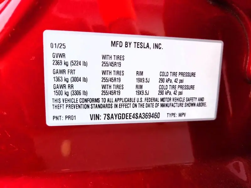 2025 TESLA MODEL Y   