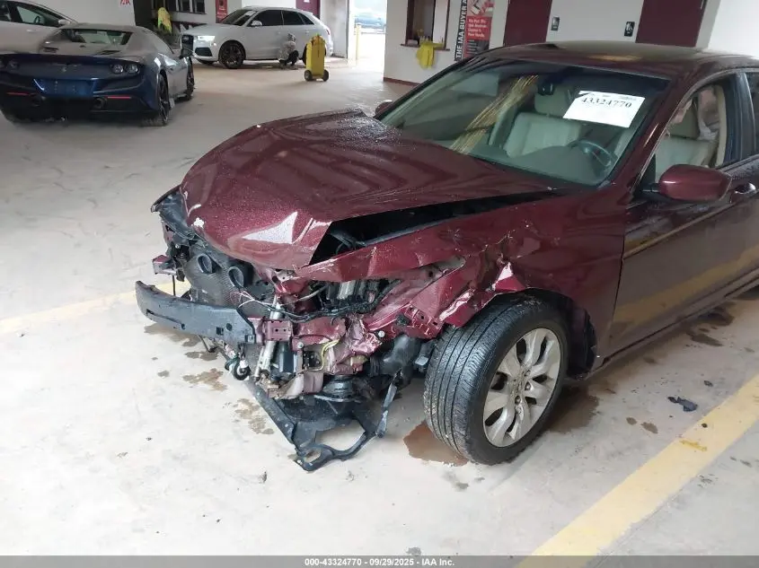 2010 HONDA ACCORD 2.4 EX-L