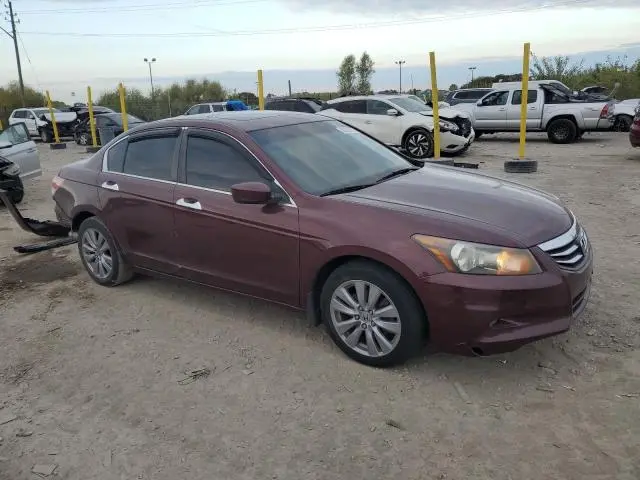 2011 HONDA ACCORD EXL  
