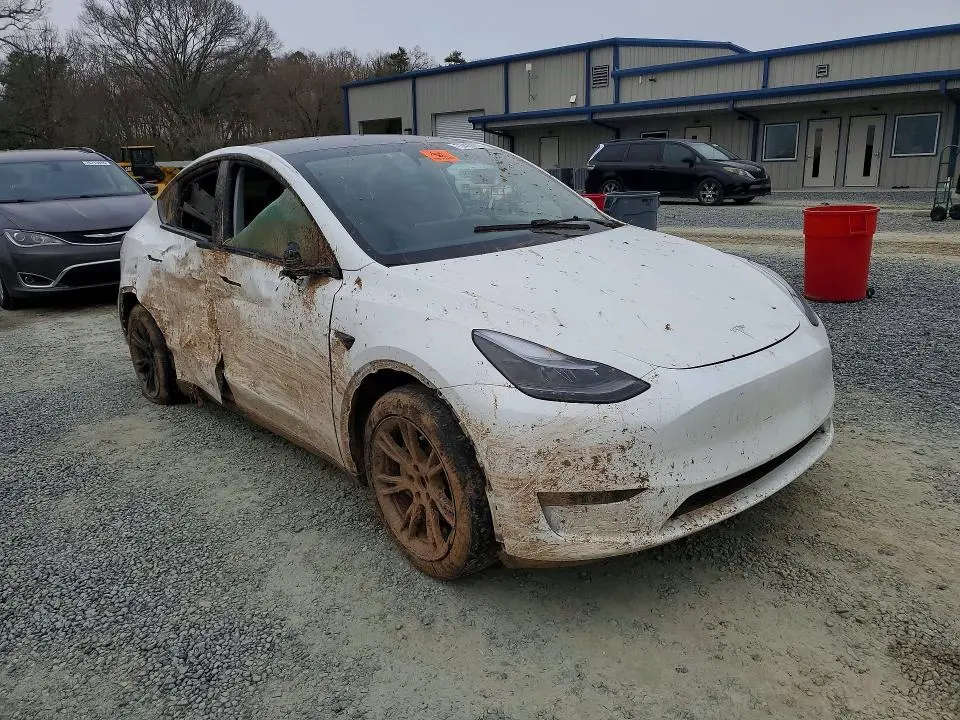 2024 TESLA MODEL Y   
