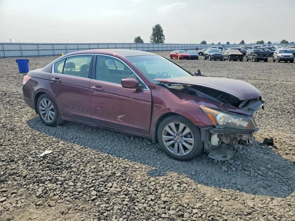 2011 HONDA ACCORD EXL  