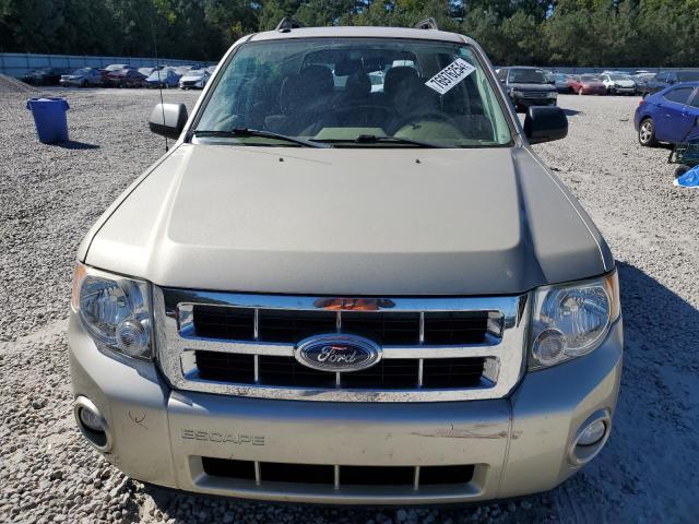 2011 FORD ESCAPE XLT