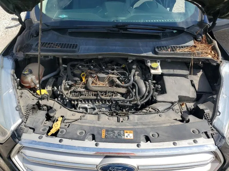 2019 FORD ESCAPE SE  