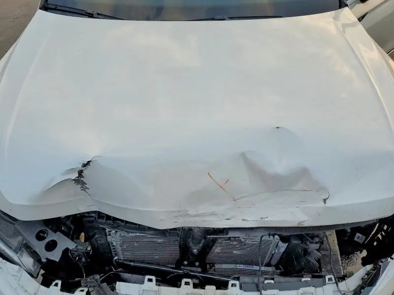 2023 VOLKSWAGEN TIGUAN SEL R-LINE BLACK  