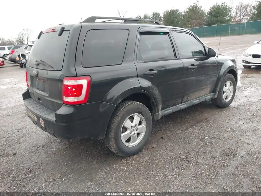 2011 FORD ESCAPE XLT