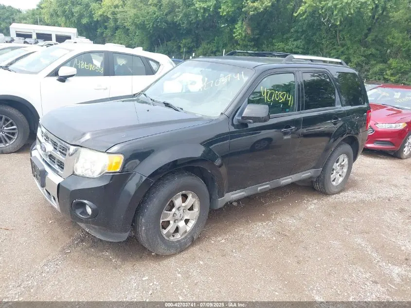 2010 FORD ESCAPE LIMITED