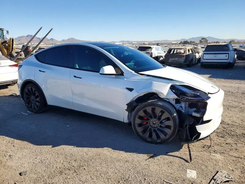 2025 TESLA MODEL Y   