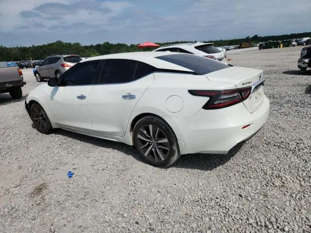 2019 NISSAN MAXIMA S  