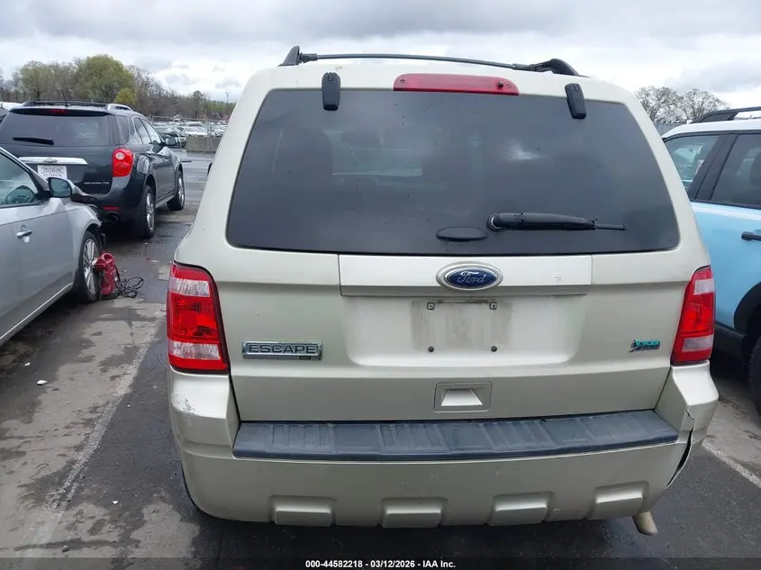 2012 FORD ESCAPE XLT