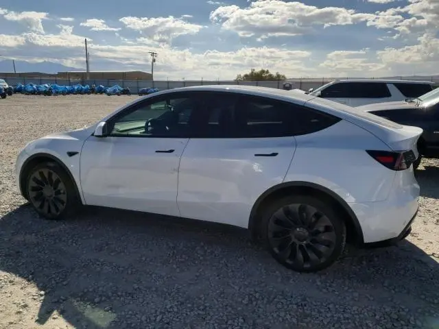 2021 TESLA MODEL Y   