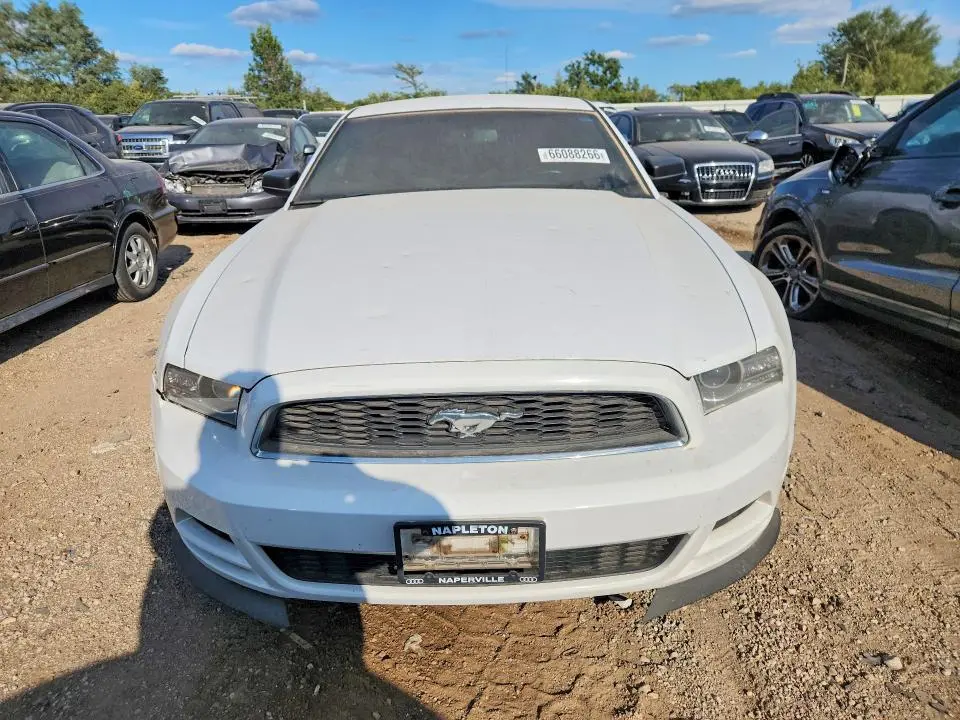 2014 FORD MUSTANG   
