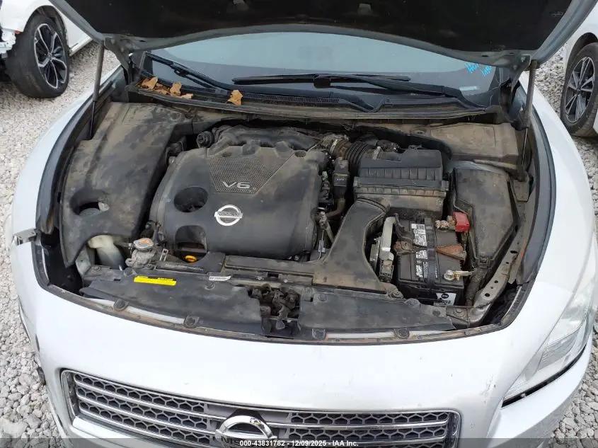 2011 NISSAN MAXIMA 3.5 SV