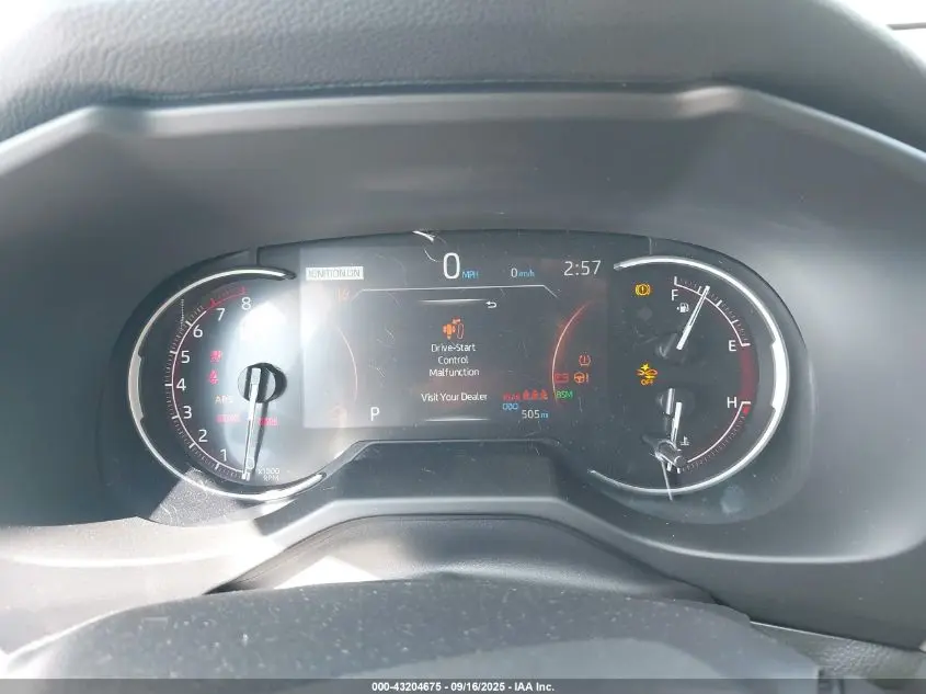 2025 TOYOTA RAV4 XLE