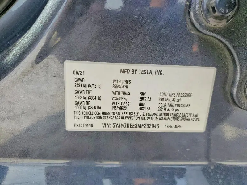 2021 TESLA MODEL Y   