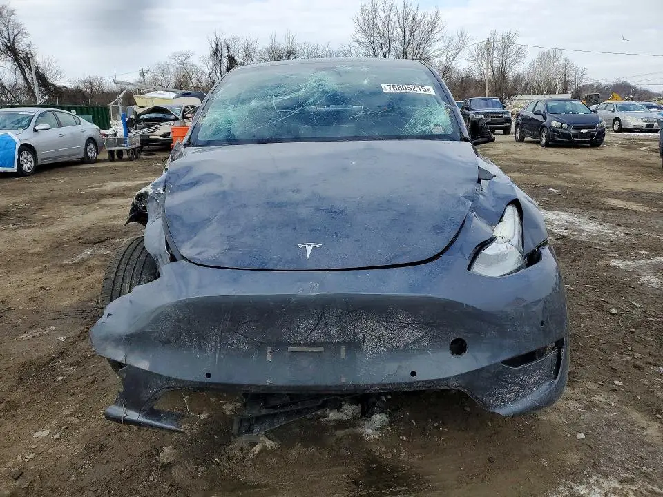 2022 TESLA MODEL Y   