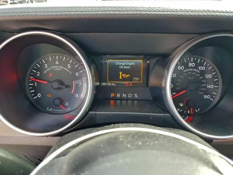 2019 FORD MUSTANG   