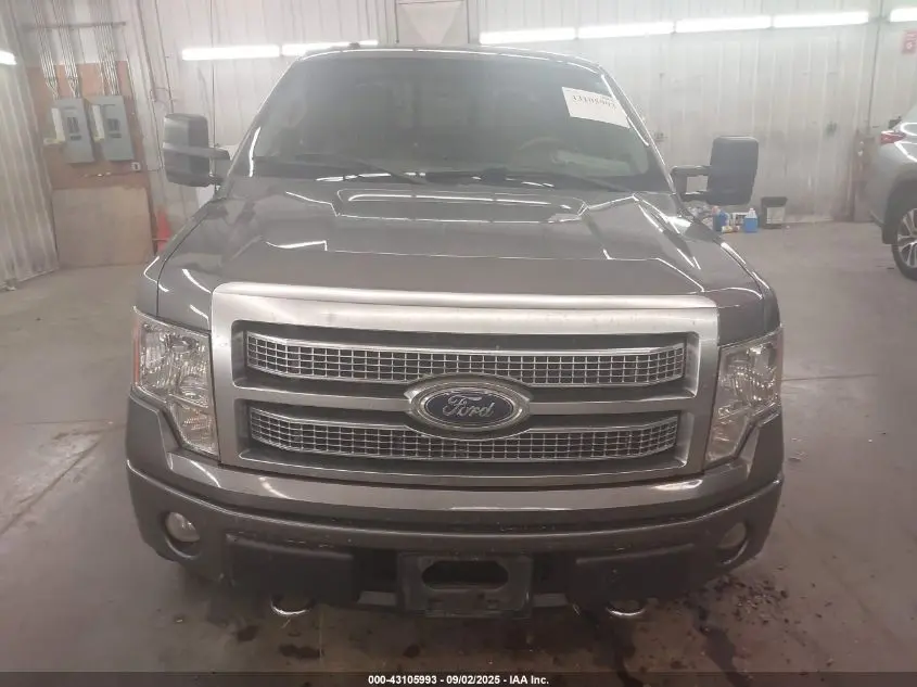 2010 FORD F-150 FX4/HARLEY-DAVIDSON/KING RANCH/LARIAT/PLATINUM/XL/XLT