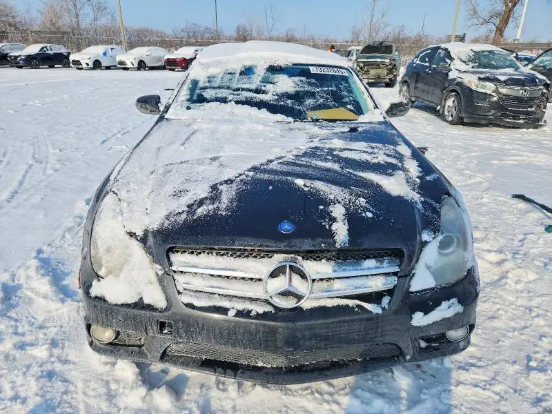 2010 MERCEDES-BENZ CLS 550  