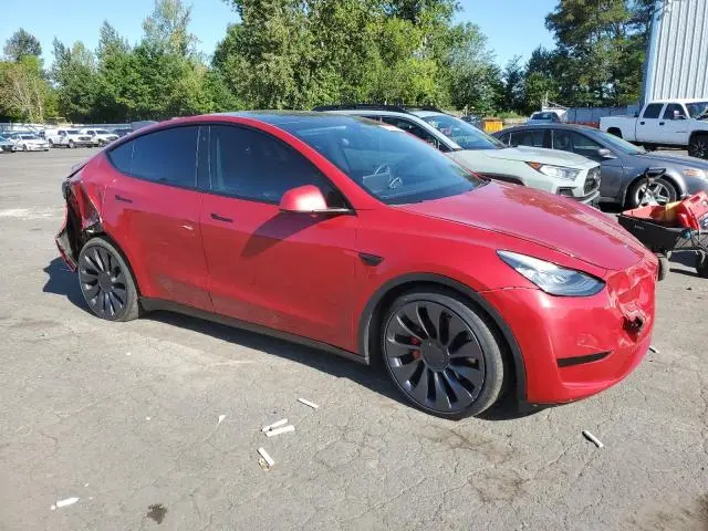 2020 TESLA MODEL Y   