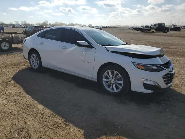 2019 CHEVROLET MALIBU LT  
