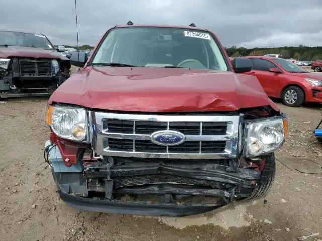 2010 FORD ESCAPE XLT  
