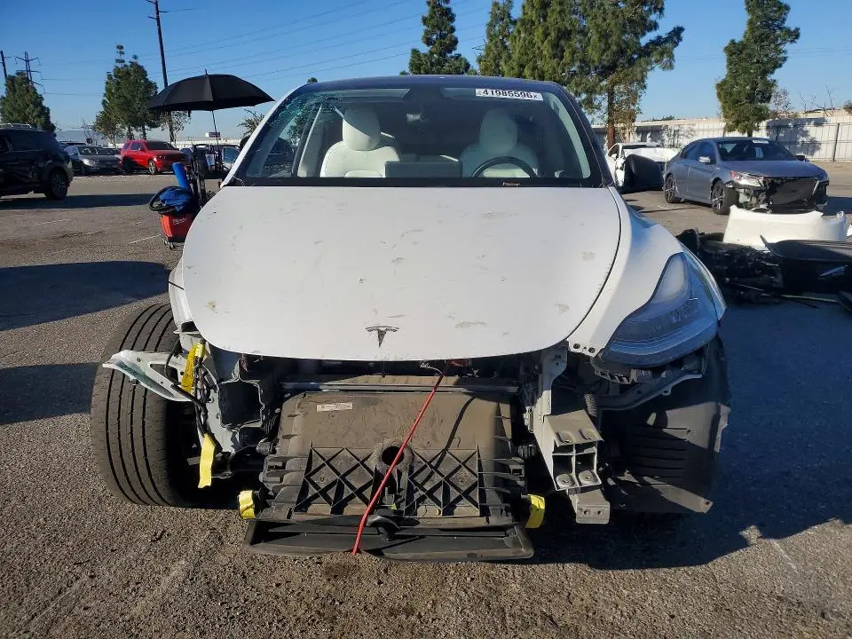 2020 TESLA MODEL Y   