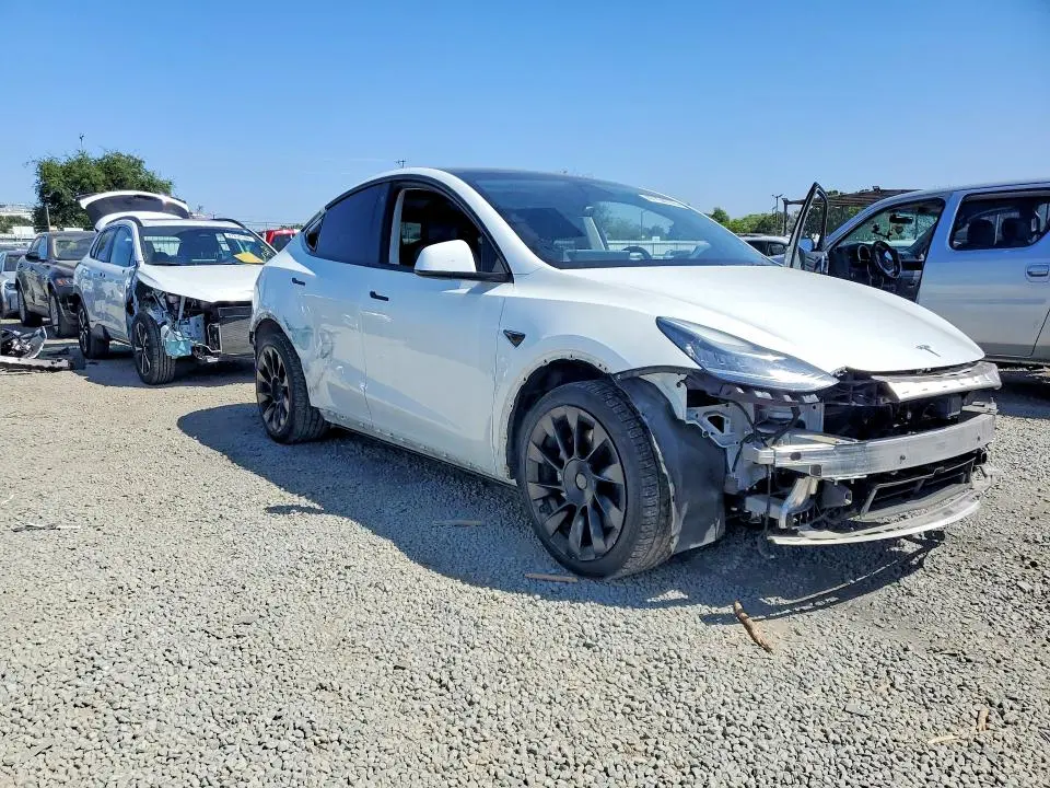 2021 TESLA MODEL Y   