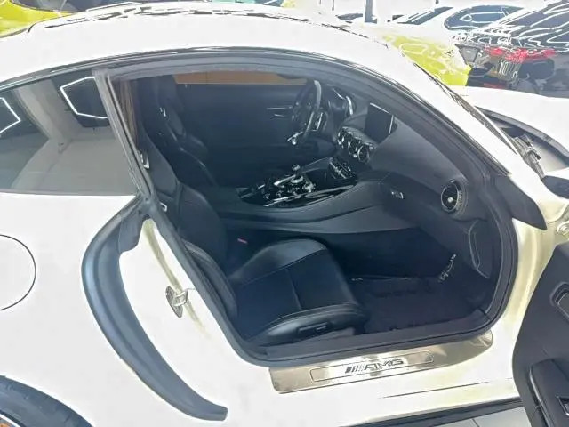 2017 MERCEDES-BENZ AMG GT   