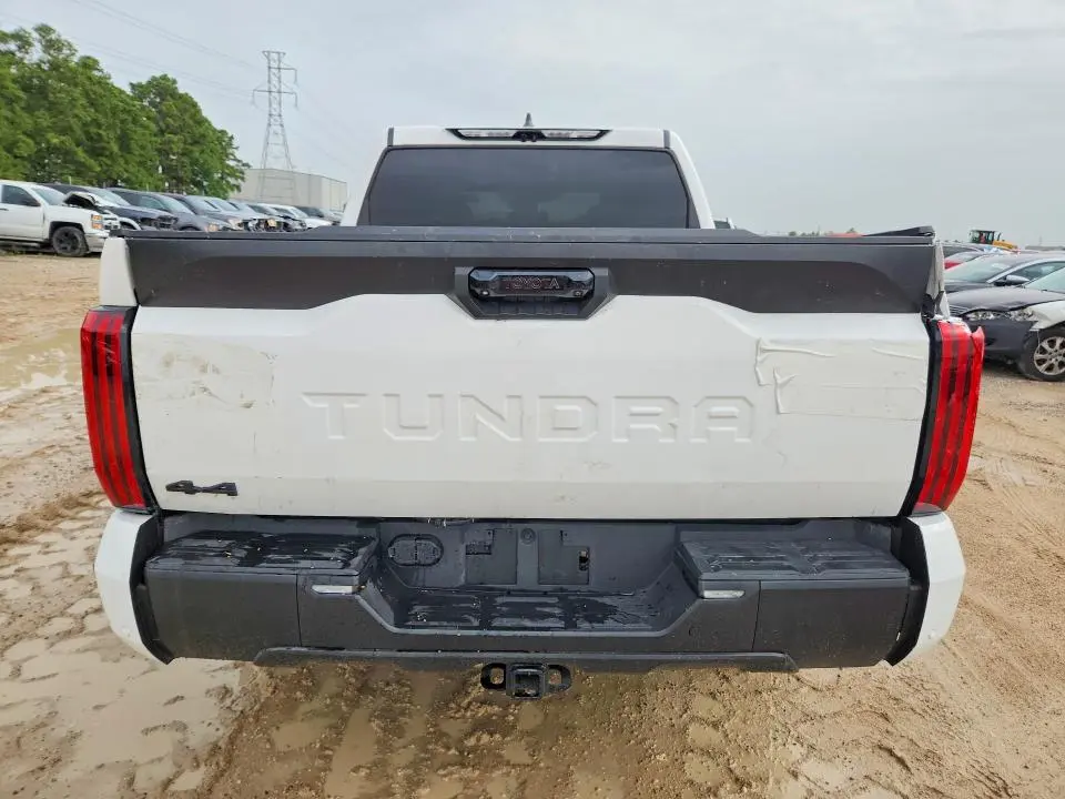 2025 TOYOTA TUNDRA SR5  