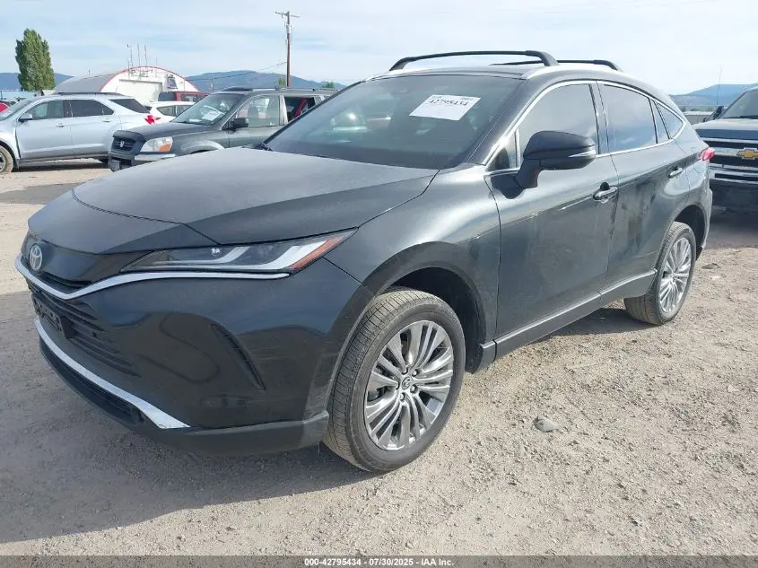 2024 TOYOTA VENZA XLE