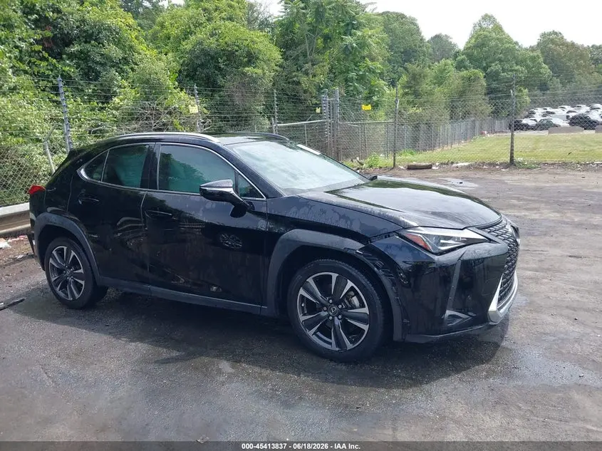 2019 LEXUS UX 200  