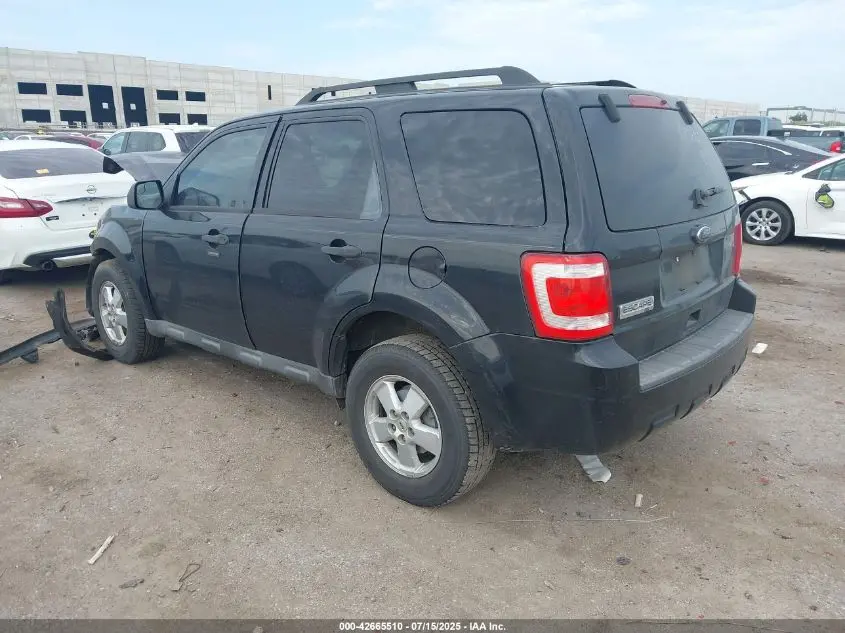 2010 FORD ESCAPE XLT