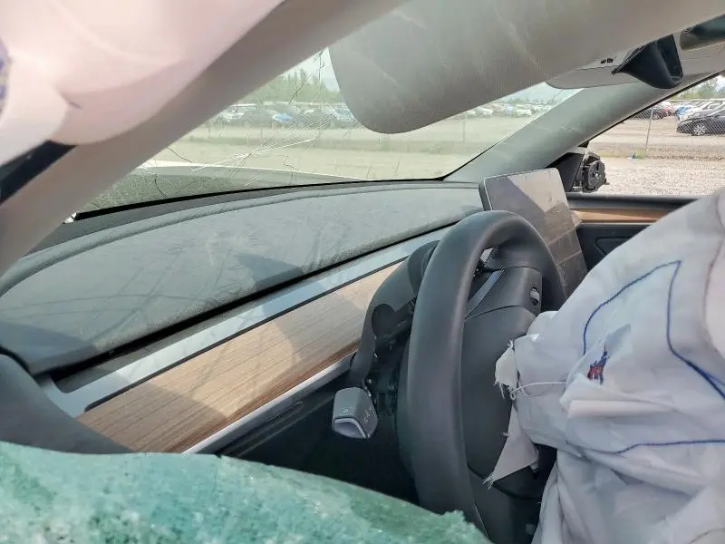 2025 TESLA MODEL Y   