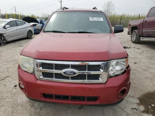 2010 FORD ESCAPE XLT