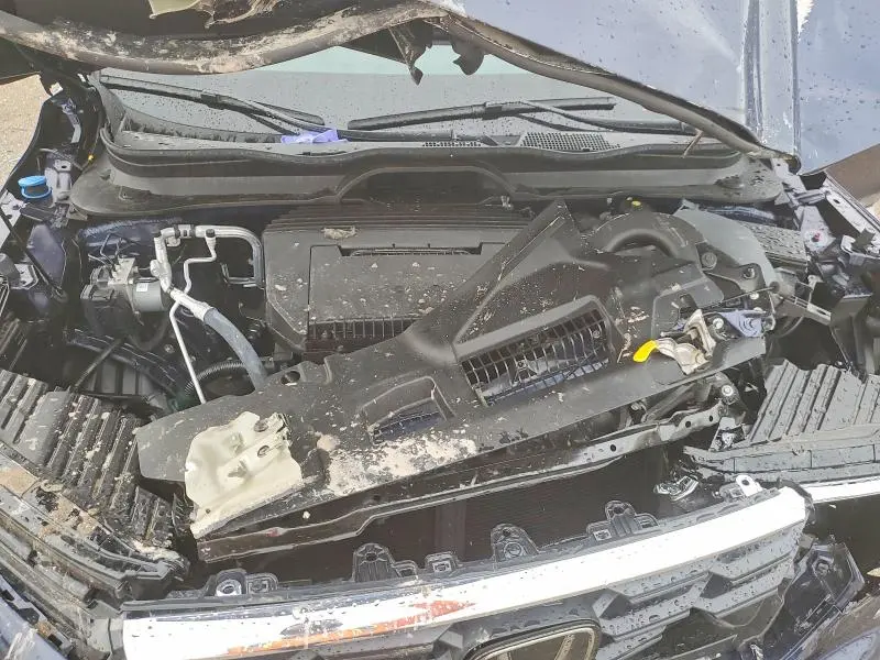 2025 HONDA PILOT EXL  