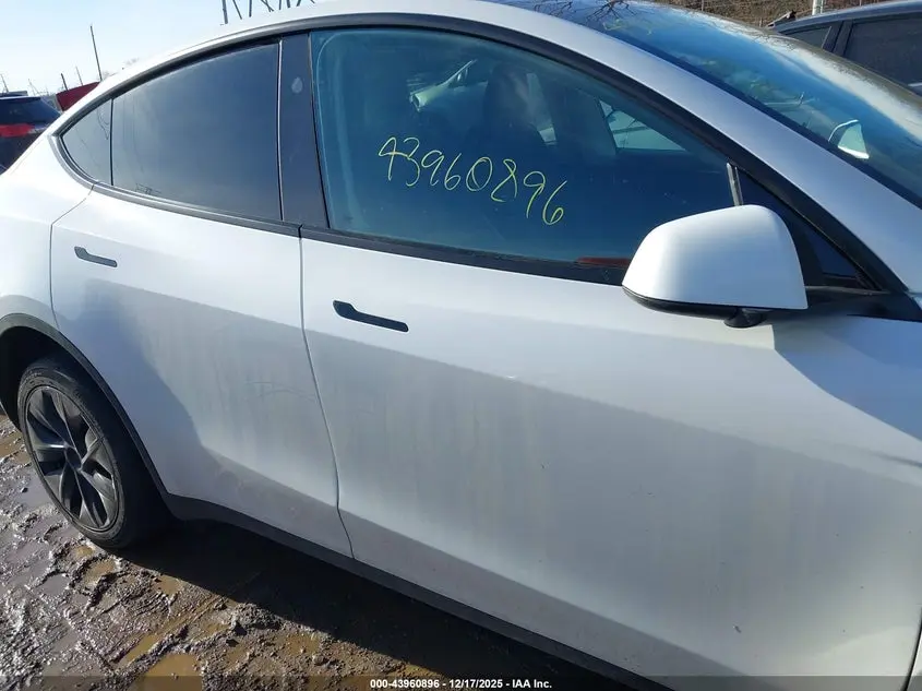 2024 TESLA MODEL Y RWD