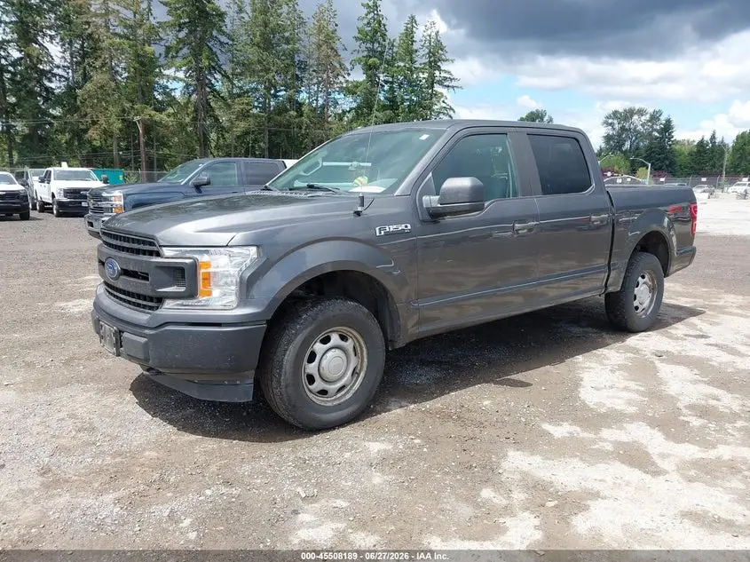 2019 FORD F-150 KING RANCH/LARIAT/PLATINUM/XL/XLT