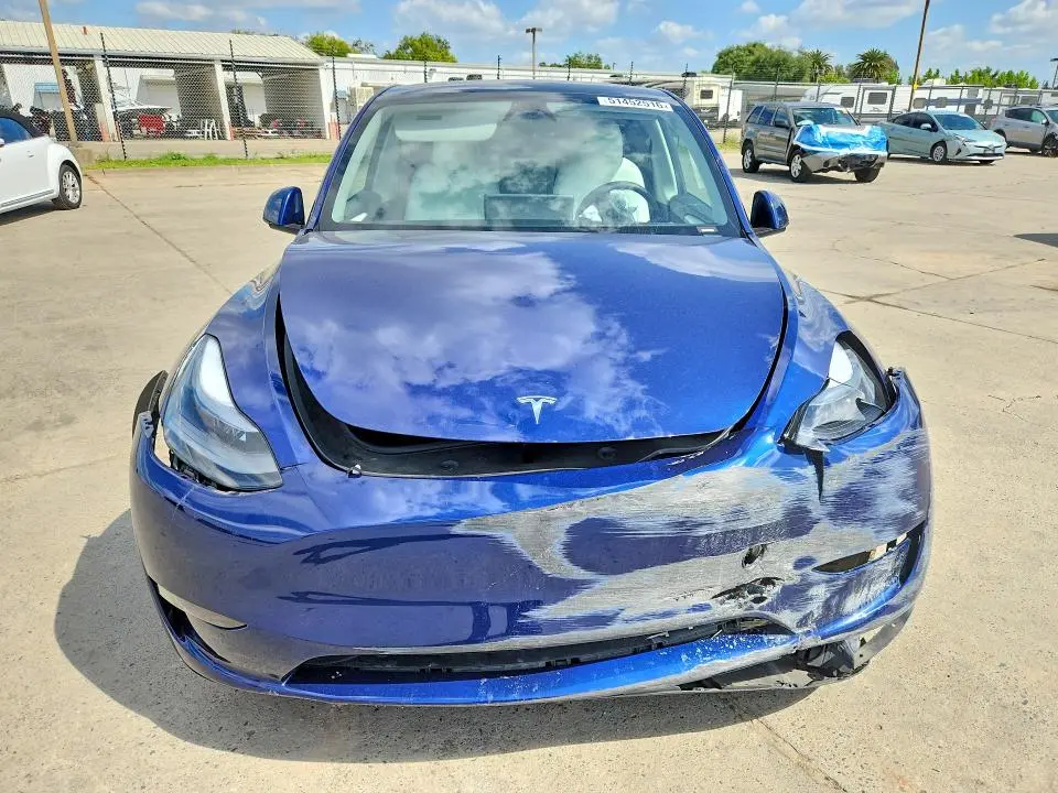 2025 TESLA MODEL Y   