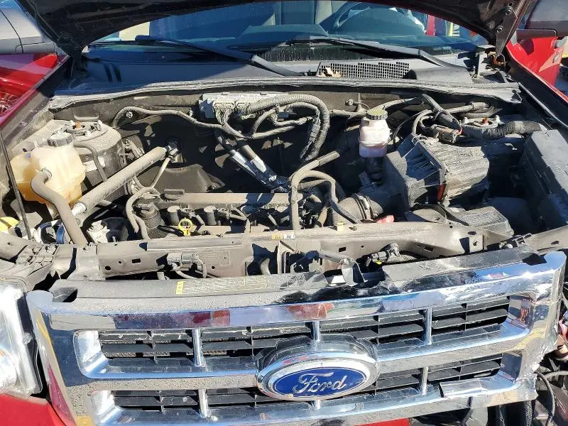 2010 FORD ESCAPE XLT  